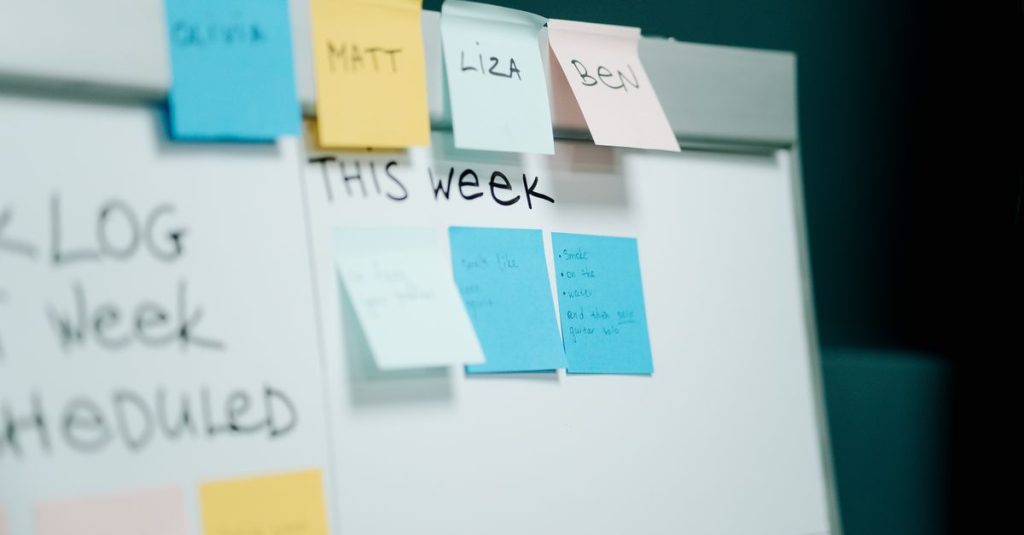 Business Model Canvas: מודל עסקי בעמוד אחד